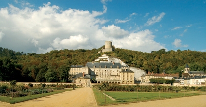 Château de La Roche Guyon.jpg